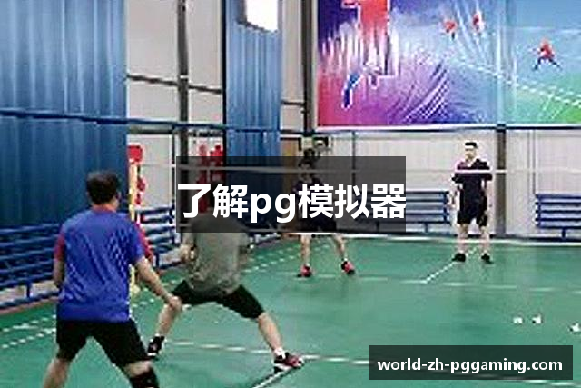 了解pg模拟器